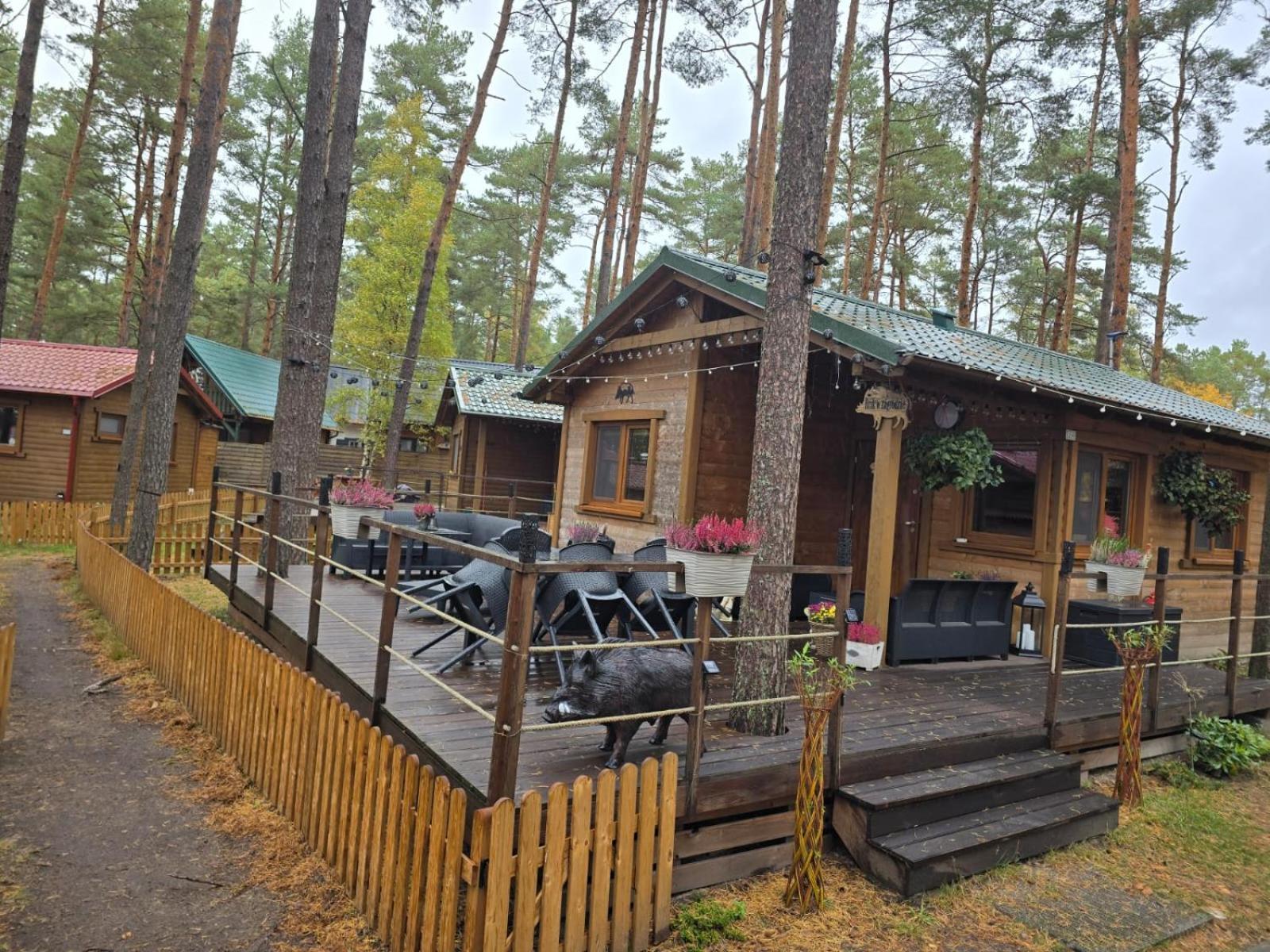 Dzik W Zagrodzie Hotel Borsk Exterior photo